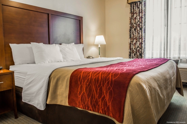 Comfort Inn & Suites